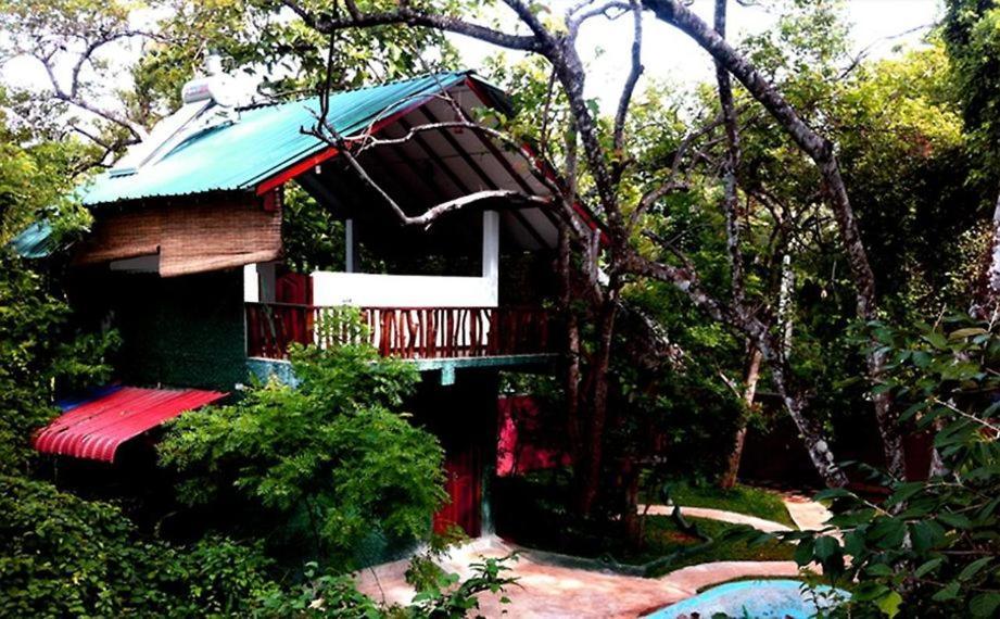 Sigiri Holiday Villa سيغيرِيا المظهر الخارجي الصورة